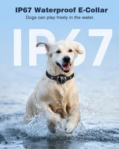 <span class=keywords><strong>Collar</strong></span> de entrenamiento para perros 2 en 1 con control remoto <span class=keywords><strong>Collar</strong></span> de ladridos para perros con 5 sensibilidad ajustable Control remoto de 3300FT para todas las razas - Product Image 6