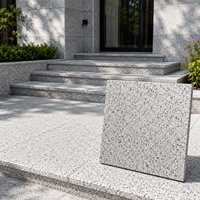 Livraison Gratuite Dalle de Granit Blanc Sésame Poli, Granit Blanc Sésame Unique pour Plans de Travail