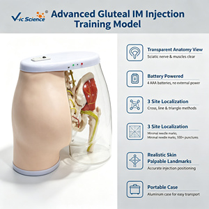 Modelo Avanzado de Entrenamiento para Inyección Intramuscular Glútea, Anatomía Transparente con Retroalimentación LED para Laboratorio de Habilidades de Enfermería, CE ISO ROHS CNAS - Product Image 1