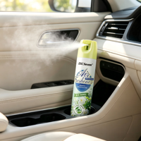 Désodorisant pour voiture écologique en aérosol de 400 ml, parfum automobile naturel longue durée pour l'élimination des odeurs intérieures de la voiture