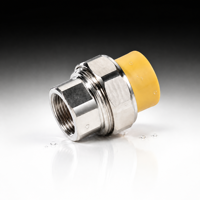 Raccord de tuyauterie en acier inoxydable PPR, connecteur à fusion thermique pour l'alimentation en eau chaude et froide