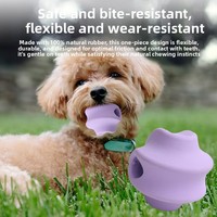 Jouet automatique en caoutchouc pour petit chien, ensemble de bâtonnets triangulaires résistants à la mastication et de balles distributrices de friandises, saveur originale