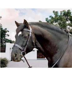 Bride d'aile rembourrée de la meilleure qualité, couvre-chef avec différentes coiffures pour créer un double - Product Image 1