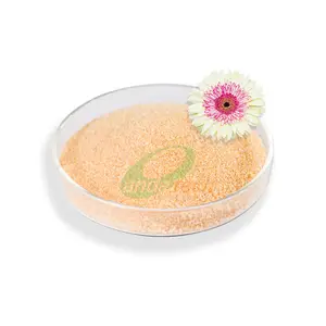 Fertilizzante NPK di fabbrica <span class=keywords><strong>20</strong></span>.<span class=keywords><strong>20</strong></span>.<span class=keywords><strong>20</strong></span>/fertilizzante NPK NPK <span class=keywords><strong>10</strong></span> 40 <span class=keywords><strong>10</strong></span> /<span class=keywords><strong>10</strong></span> 30 <span class=keywords><strong>20</strong></span> fertilizzante solubile in acqua - Product Image 4
