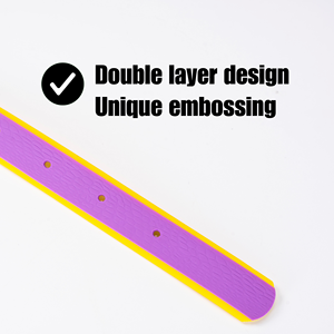 Collares y Correas Impermeables para Mascotas de Dos Tonos, Collar de Lujo para Perro Resistente al Agua, Collar Ajustable de PVC para Paseos en la Playa - Product Image 5