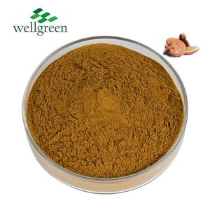 Чистый порошок грибов Рейши <span class=keywords><strong>Ganoderma</strong></span> Lucidum оптом продажа 100% порошок Рейши - Product Image 1