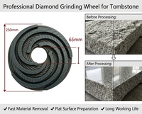 Plaque de meulage diamantée spirale 250 mm, alésage 65 mm, disque abrasif résistant à l'usure pour la préparation des surfaces de monuments en granit