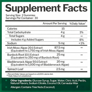 פרמיה פרמיה טבעית סוכריות עלה תמצית ברזל ויטמינים <span class=keywords><strong>b</strong></span> תוספי צמחים תוסף אנרגיה מגבר תמיכה חיסונית העור - Product Image 2