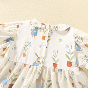 Zomerjurk van tule voor meisjes, geplooide kinderjurk, dunne gaasjurk, katoenen bedrukte jurk voor babymeisjes - Product Image 5