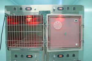 CH haute qualité 304 acier inoxydable <span class=keywords><strong>Cage</strong></span> pour animaux de compagnie luxe moderne pliable chien caisse meubles vétérinaire Animal clinique utilisation pour animal de compagnie - Product Image 2