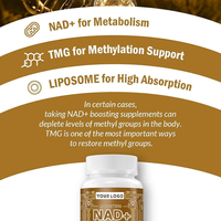 Capsules de NAD+ pour adultes 1500MG, NAD pur encapsulé dans des liposomes, antioxydant, anti-âge, soutien énergétique cellulaire pour le cœur et le cerveau
