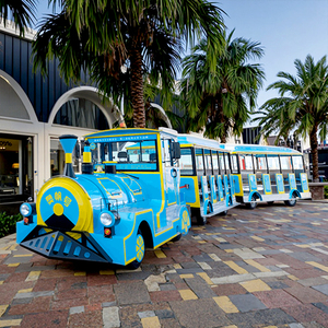 <span class=keywords><strong>Train</strong></span> sans rails d'extérieur pour parcs à thème, bus touristique <span class=keywords><strong>et</strong></span> <span class=keywords><strong>train</strong></span> à wagons cylindriques géants - Product Image 1