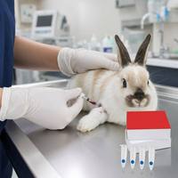 Kit de Prueba PCR de Ácido Nucleico para la Enfermedad Hemorrágica del Conejo (RHD), Certificado CE Clase II, Preciso para Granjas y Hospitales Veterinarios, 1 Año de Duración