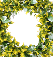 Vente en gros guirlande suspendue de haute qualité plante artificielle herbe fleur artificielle pour la décoration de la maison intérieur extérieur décor