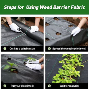 Malla de Control de Malezas No Tejida de Color Negro, Fabricada en China, para Jardinería, Cobertura de Suelo Agrícola - Product Image 6
