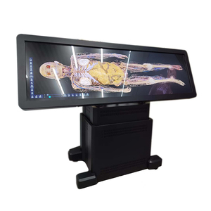 Système d'anatomie humaine numérique IN-Int II88, table d'autopsie virtuelle 3D pour les universités - Product Image 3