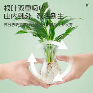 Vibrant Little <b>Elf</b> Hydroponic Plant Nutrient Solution 80ml Liquid For Indoor Plants - Product Image 2