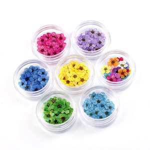 20pcs Natural <b>Dried</b> Flower Nail Stickers 17 Colors Japanese Style 3D Real <b>Petal</b> Decals for DIY Nail Decoration - Product Image 4