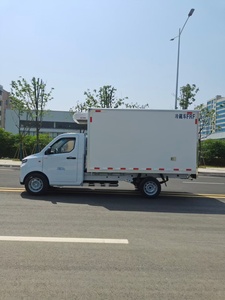 Camioneta <span class=keywords><strong>Refrigerada</strong></span> Eléctrica Geely F1E, Mini Camión de Carga Ligera para Transporte de Alimentos y Medicamentos en Cadena de Frío, Disponible con Volante a la Izquierda y Derecha - Product Image 3