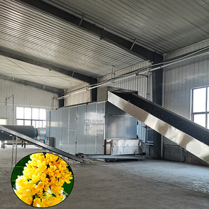 Machine de séchage à bande continue en maille pour longanes et osmanthus fragrans - Product Image 1