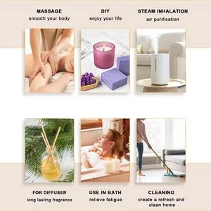 Commercio all'ingrosso olio di fragranza muschio arabo profumo Dubai puro muschio arabo ambra olio per la fabbricazione del profumo - Product Image 5