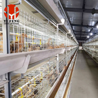 Cage à poulets de chair de type H en acier galvanisé à chaud, 4 niveaux, haute densité, pour élevage de poulets de chair
