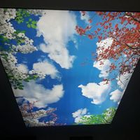 Tissu de plafond extensible en PVC imprimé UV, feuille de toit avec profils en aluminium, film décoratif, boîte à lumière en toile