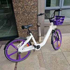 Vélos électriques <span class=keywords><strong>Nexus</strong></span> EB5018E à <span class=keywords><strong>3</strong></span> <span class=keywords><strong>vitesses</strong></span>, 36V 250W, pour loisirs, courses et exercices, avec panier avant en plastique - Product Image 1