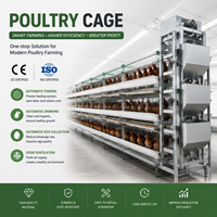 Cage à poules de type H commerciale, élevage haute densité, système de nettoyage automatique du fumier, nouvelle conception en acier galvanisé et acier inoxydable