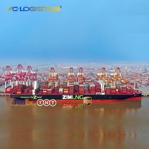 DDP DHL/UPS/FEDEX Envío marítimo Puerta a puerta Agente de envío Transitario China a Estados Unidos Canadá Australia Francia - Product Image 2