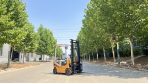 Minicarretilla elevadora eléctrica de 1 tonelada con certificado CE/ISO con batería de plomo-ácido de mástil de 2 niveles y 3 metros - Product Image 6