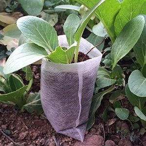 Petits sacs <span class=keywords><strong>de</strong></span> culture pour plantes, pots <span class=keywords><strong>de</strong></span> semis non tissés, sacs <span class=keywords><strong>de</strong></span> semis respirants pour le jardinage - Product Image 1