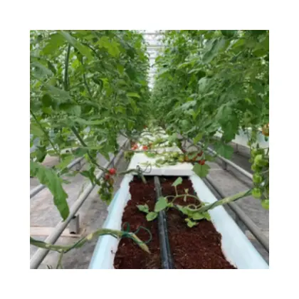 أكياس بلاستيكية بالتنقيط من بولي كلوريد الفينيل للحديقة وشرفة المنزل والنباتات لزراعة الخضروات لزراعة الطماطم