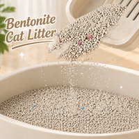 Litière pour chat en bentonite 5 kg, hautement absorbante, agglomération rapide, anti-poussière, contrôle durable des odeurs, sable pour chat