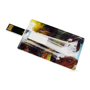 Memoria USB 2.0/3.0 de 8GB/16GB/32GB/64GB con Forma de Tarjeta de Crédito, Nueva, de Plástico - Product Image 3