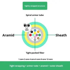 Cordon de brassage <span class=keywords><strong>optique</strong></span> blindé Gimbo 10G OM3 Multimode Anti-rongeur 8 fibres LC-LC/SC/FC/ST Certifié CE Longueur personnalisée - Product Image 2