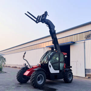 Mini cargadora de ruedas de <span class=keywords><strong>3</strong></span> toneladas, carretilla elevadora telescópica, filtros hidráulicos, manipulador telescópico manito a la venta - Product Image 3