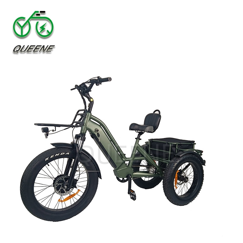 Chainless Bikes Efficient and Durable Electric Options