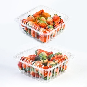Envase Desechable de PET Transparente <span class=keywords><strong>para</strong></span> Fruta Fresca, <span class=keywords><strong>Frambuesas</strong></span>, Arándanos, Caja de Plástico Tipo Concha <span class=keywords><strong>para</strong></span> Fresas - Product Image 4