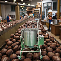 Moulin à chocolat en acier inoxydable, mélangeur, machine à moudre, moulin à pierres, capacité 25L-100L, 220/380V, garantie 1 an