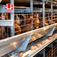 Système de cages à poules pondeuses automatiques de type H avancé, équipement d'élevage avicole en acier, cage à poules pondeuses de type H avec système d'abreuvement par tétine