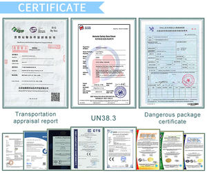 Générateur éolien vertical compact 1000 W (1 kW) à prix réduit – Vente directe usine ESG - Product Image 6