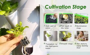 Système de culture hydroponique vertical à 7 étages, serre intérieure, équipement de culture sans sol pour plantes et légumes - Product Image 3