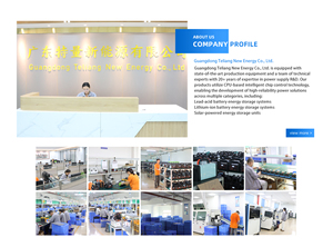 TL EAGLE 100W 76.8WH Açık Hava Çok Fonksiyonlu Taşınabilir Ses Güç İstasyonu, Modifiye Sinüs Dalgası, Müzik, Ev, Seyahat Kullanımı için - Product Image 6