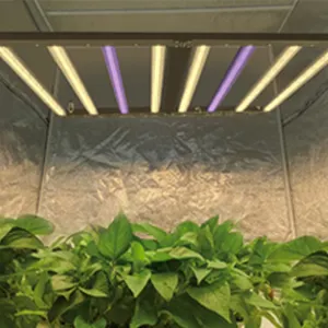 Toplighting Greenhouse Grow Light Lm301 Horticulture Hydroponic Full Spectrum Led Grow Lights Bar For Indoor Plant Grow