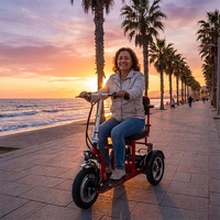 Scooter électrique pliable léger tout-terrain à 3 roues pour personnes âgées