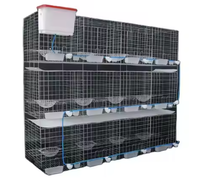 Vente chaude Pigeon élevage couche Cage nouvelle condition SSD de l'usine de la Chine