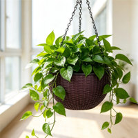 Pots de fleurs suspendus traditionnels à double compartiment, auto-arrosants, 1,28 L, en PP, pour usage intérieur/extérieur, maison et jardin