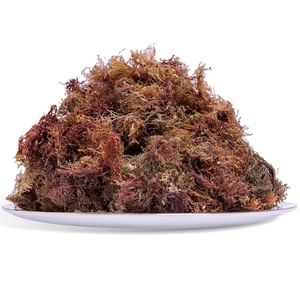 Algas naturales Seamoss Algas Rojas Hierba de coral seca <span class=keywords><strong>Gelidium</strong></span> Amansii para Navidad Día de San Valentín Jelly Weed <span class=keywords><strong>Gelidium</strong></span> Jelly - Product Image 6