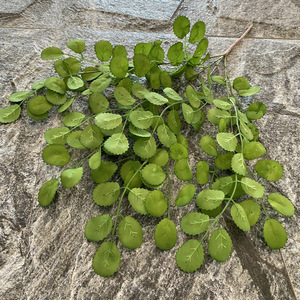 Petit arbre porte-bonheur <span class=keywords><strong>en</strong></span> <span class=keywords><strong>pot</strong></span> de haute qualité avec feuilles d'<span class=keywords><strong>eucalyptus</strong></span> pour la décoration intérieure et extérieure, fête des mères et nouvel an - Product Image 6